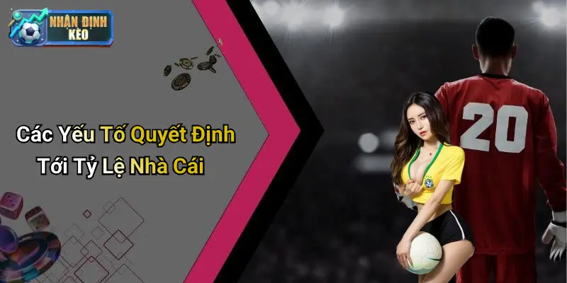 Các Yếu Tố Quyết Định Tới Tỷ Lệ Nhà Cái