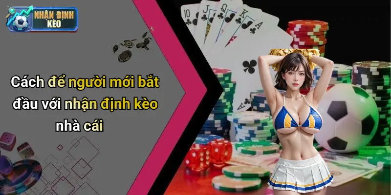 Cách để người mới bắt đầu với nhận định kèo nhà cái