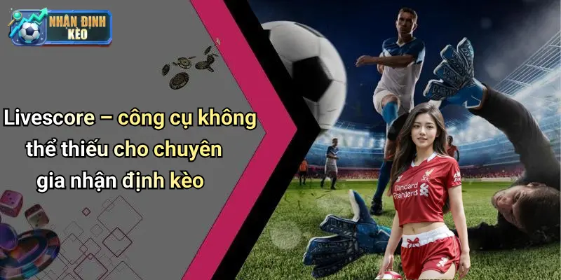 Livescore – công cụ không thể thiếu cho chuyên gia nhận định kèo