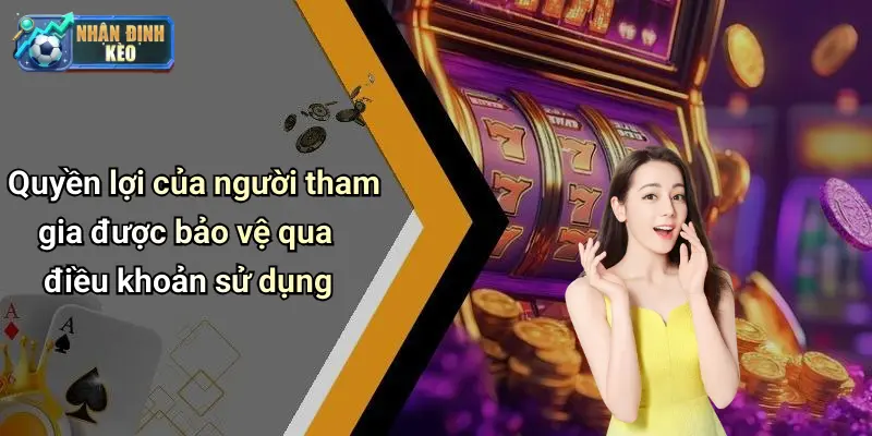 Quyền lợi của người tham gia được bảo vệ qua điều khoản sử dụng