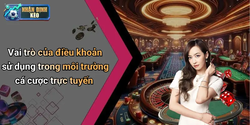 Vai trò của điều khoản sử dụng trong môi trường cá cược trực tuyến