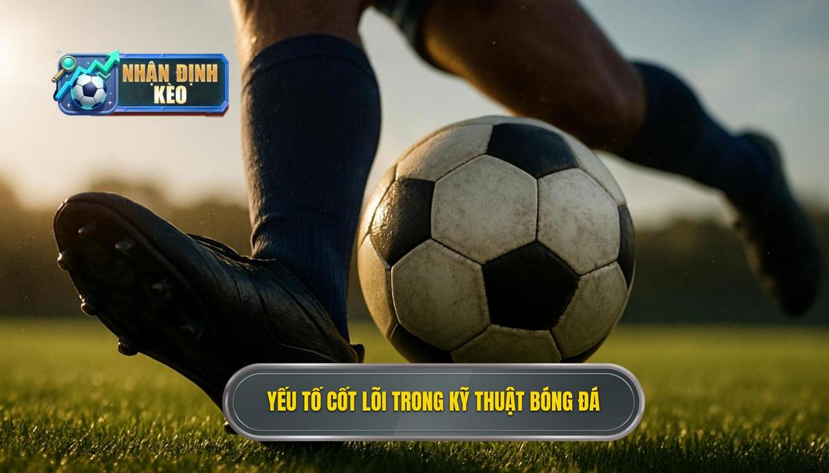 Yếu tố cốt lõi tạo nên Kỹ thuật đánh chặn bóng hoàn hảo