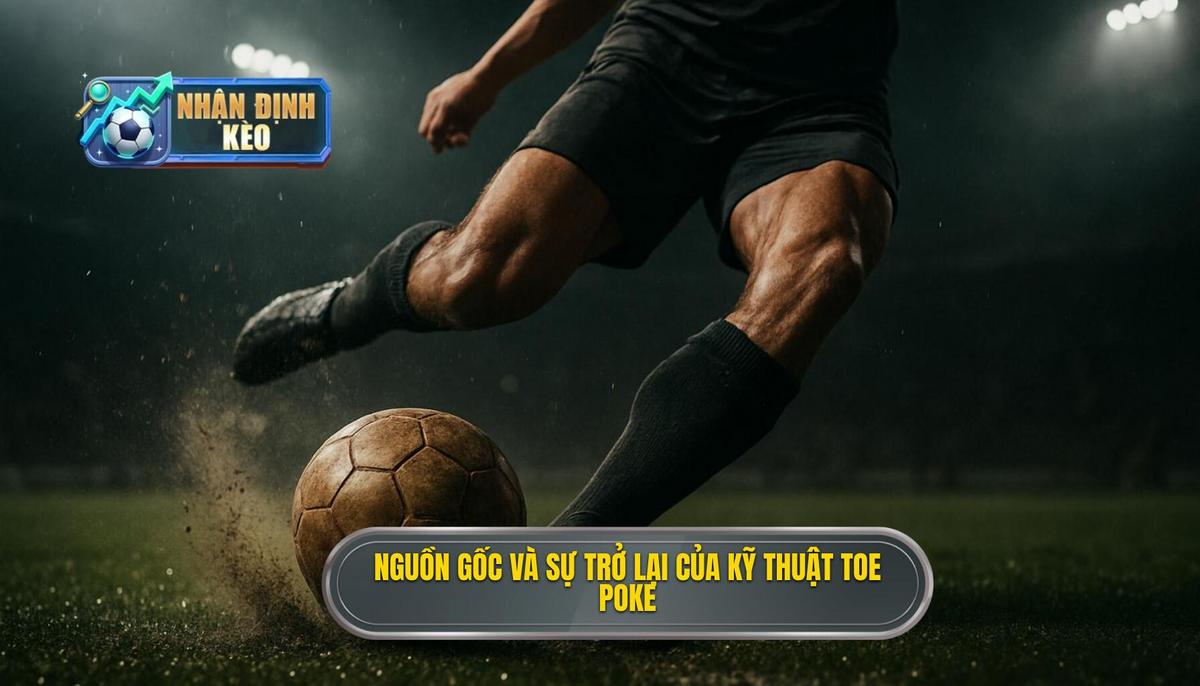 Nguồn Gốc Và Sự Trở Lại Của Toe Poke