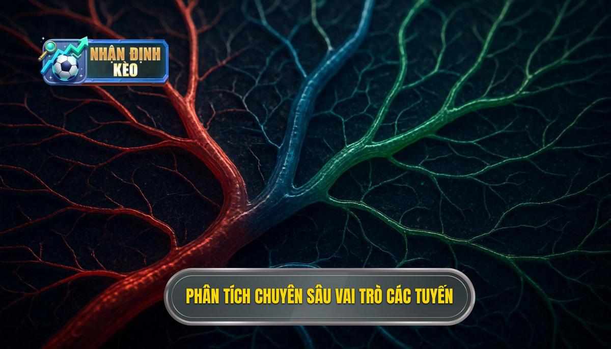 Phân Tích Chuyên Sâu Vai Trò Từng Tuyến