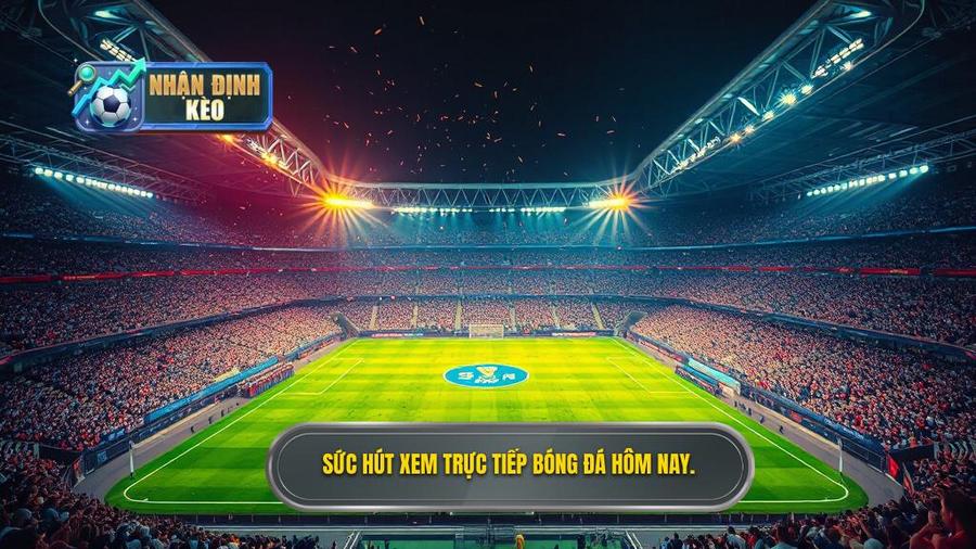 Sức hút mãnh liệt của việc xem trực tiếp bóng đá hôm nay