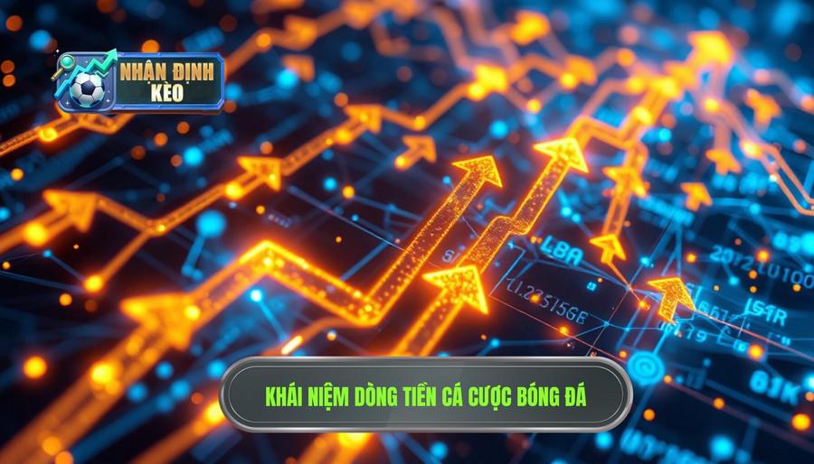 Dòng tiền cá cược là gì và tại sao nó lại quan trọng?