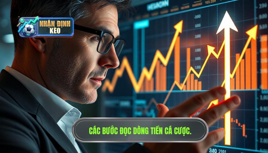 Các bước cơ bản trong cách đọc dòng tiền cá cược