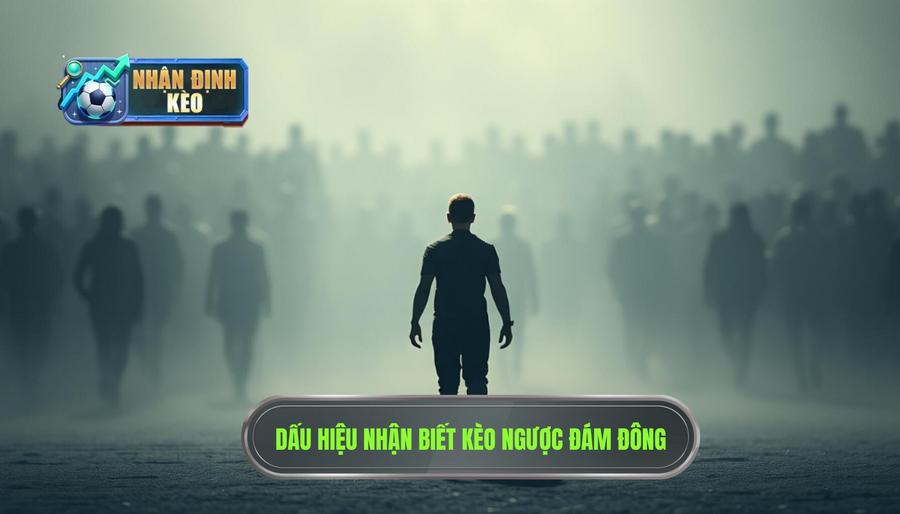 Kinh nghiệm bắt kèo ngược đám đông: Những dấu hiệu nhận biết