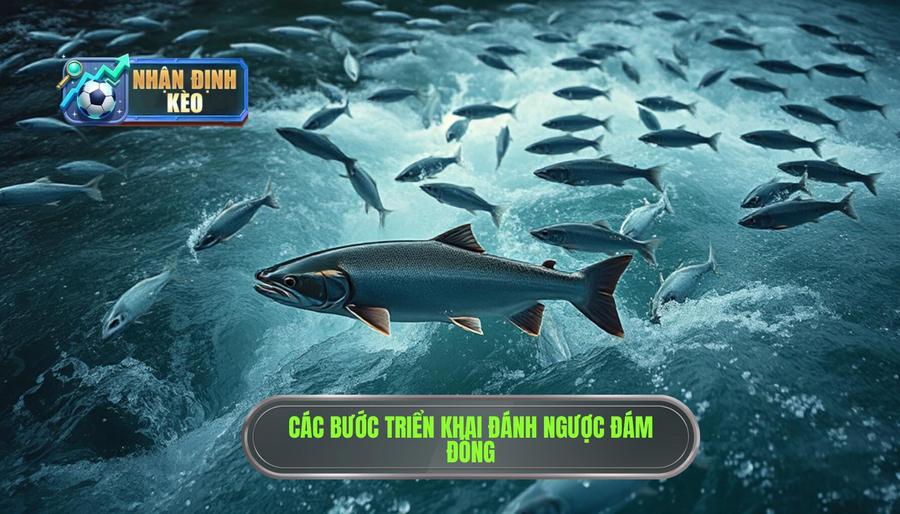 Các bước triển khai chiến thuật đánh ngược đám đông