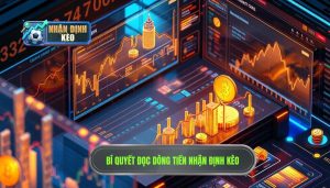 Cách Đọc Dòng Tiền Cá Cược: Bí Quyết Soi Kèo Nhà Cái Chính Xác