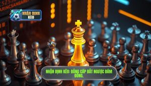 Kinh Nghiệm Bắt Kèo Ngược Đám Đông: Bí Quyết Thắng Lớn Từ Nhà Cái